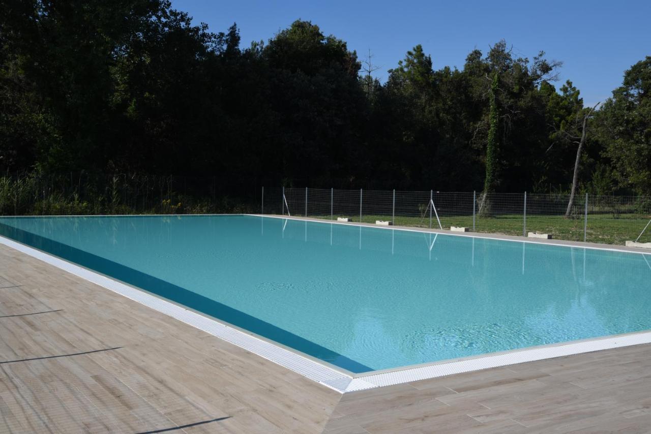 Residence Il Piviere App 7 With Private Garden Calambrone Εξωτερικό φωτογραφία